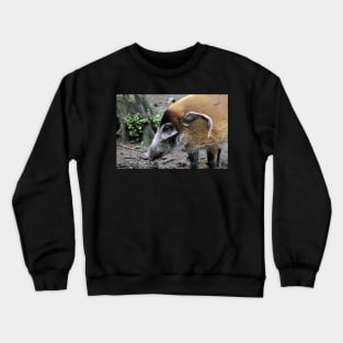 Red River Hog Crewneck Sweatshirt